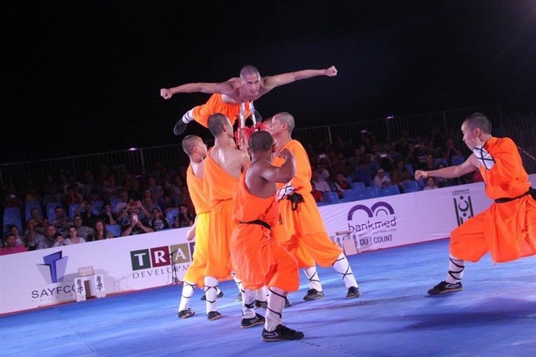 Martial Arts Festival
